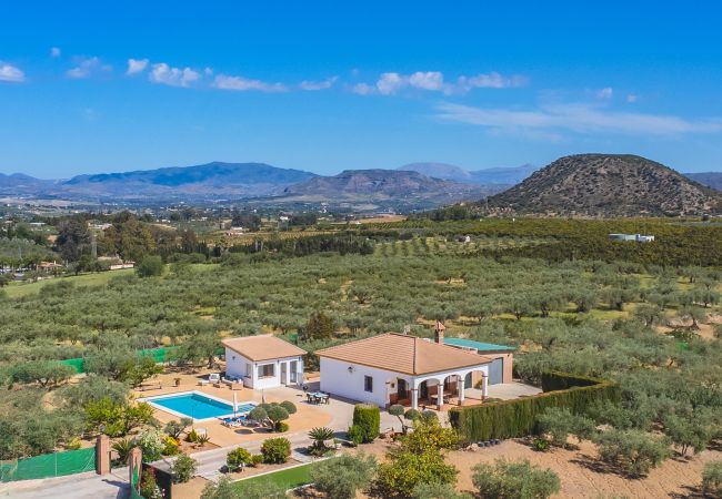 Casa rural en Alhaurín el Grande - Cubo's Finca Villaverde