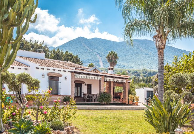 Villa en Alhaurín el Grande - Cubo's Villa Ruiz