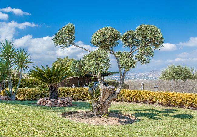 Villa en Alhaurín el Grande - Cubo's Villa Ruiz