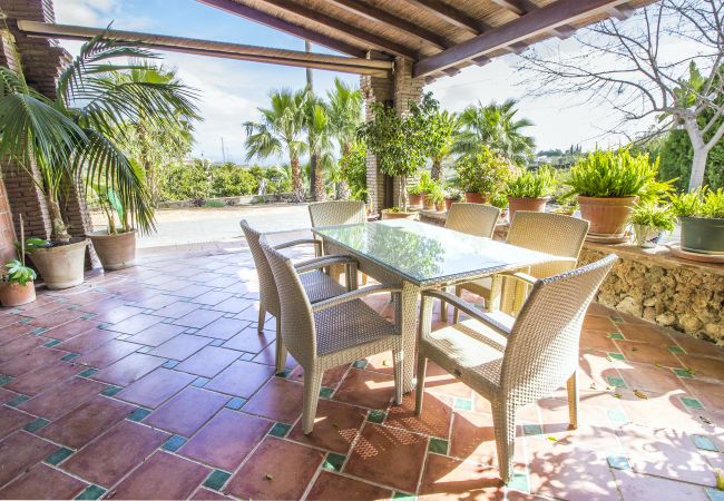 Terraza de esta finca en Alhaurín el Grande