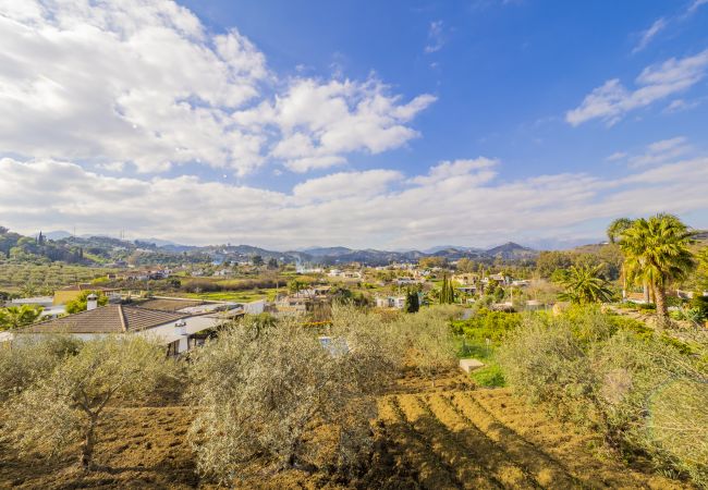 Vistas de esta Finca en Coín 