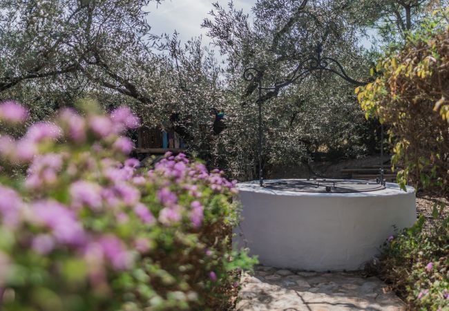 Jardín de esta villa en Alhaurín el Grande