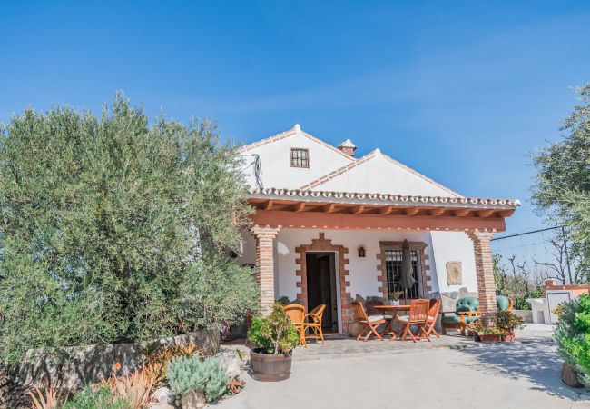 Terraza de esta finca en Alhaurín el Grande