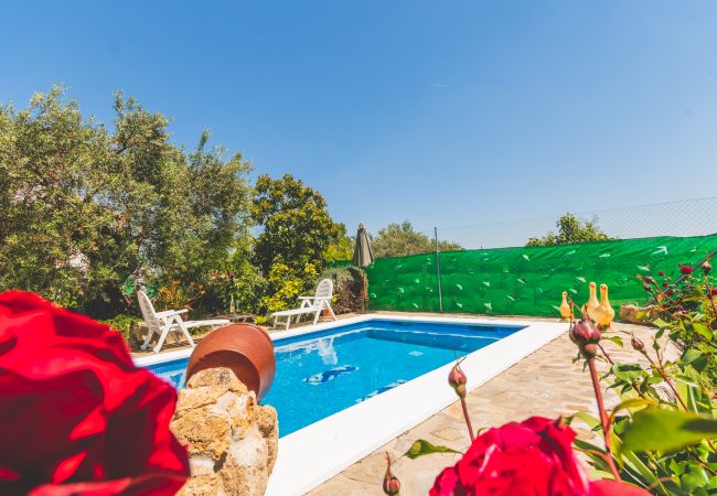 Piscina privada de esta finca en Alhaurín el Grande