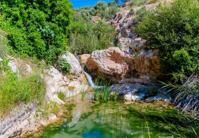 Alrededores de esta casa cerca de El Caminito del Rey