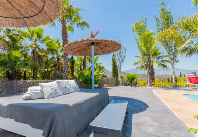 Terraza de esta finca en Alhaurín el Grande