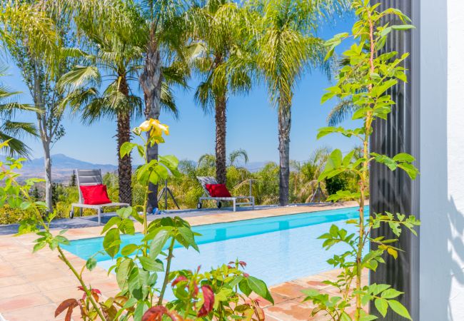 Piscina privada de esta Finca en Alhaurín el Grande