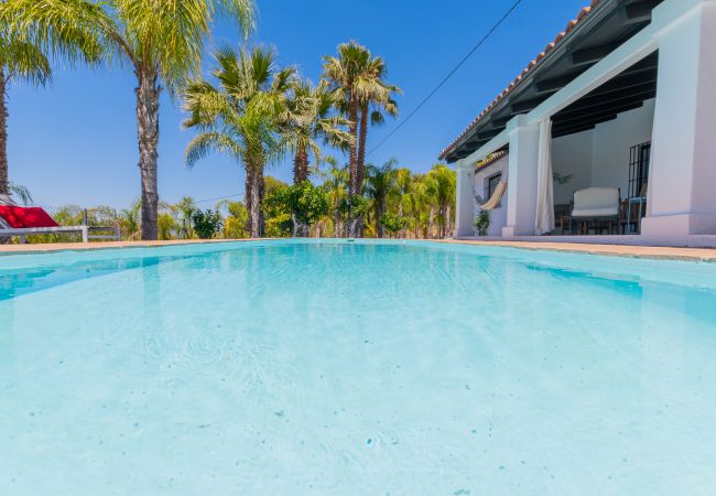 Piscina de esta Finca en Alhaurín el Grande