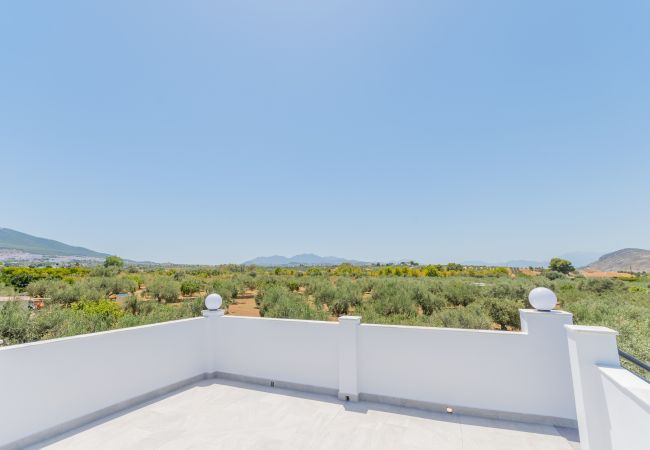 Vistas de esta finca en Alhaurín el Grande