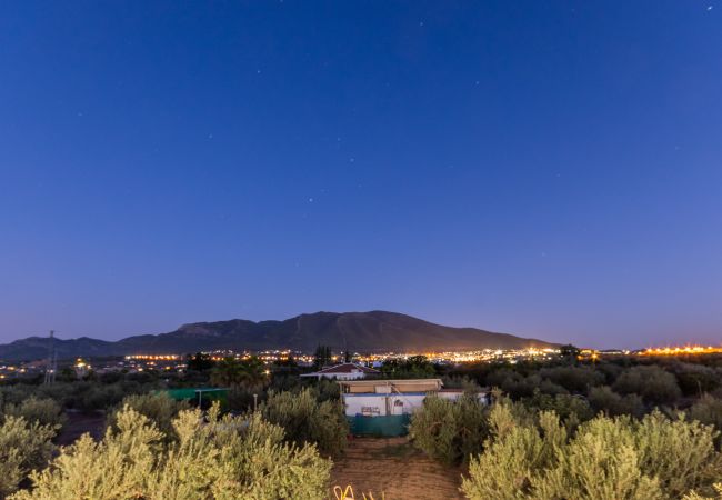 Vistas de esta finca en Alhaurín el Grande