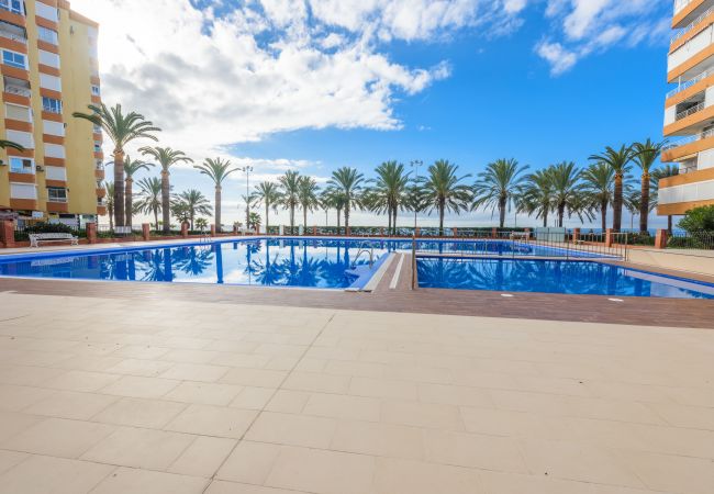 Community pool of this apartment in La Caleta de Vélez