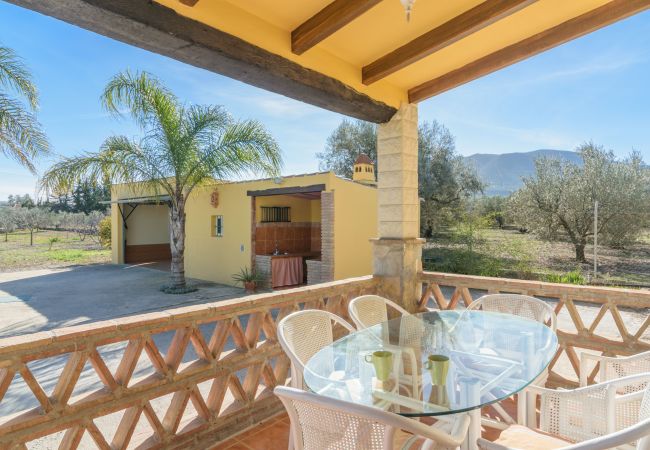 Terrace of this farm in Alhaurín el Grande