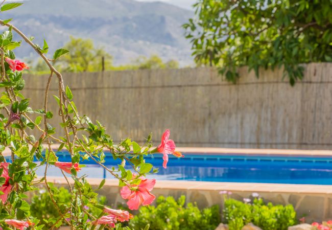 Cottage in Alhaurín el Grande - Cubo's Finca el Cortijito de Herrera