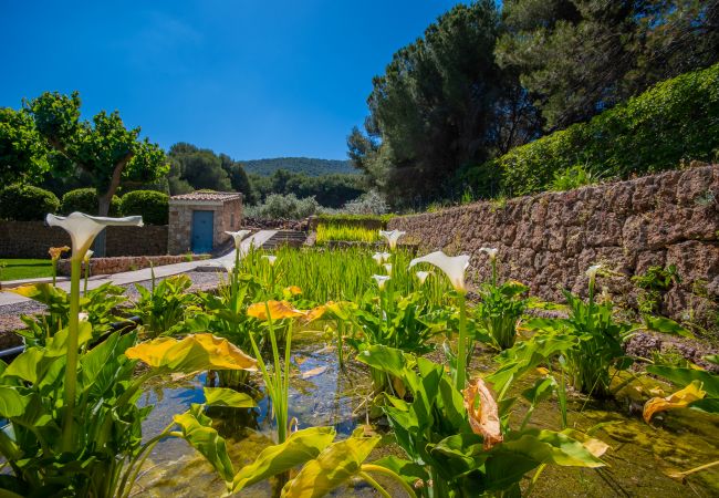 Villa in Alhaurín el Grande - Cubo's Villa El Tejar