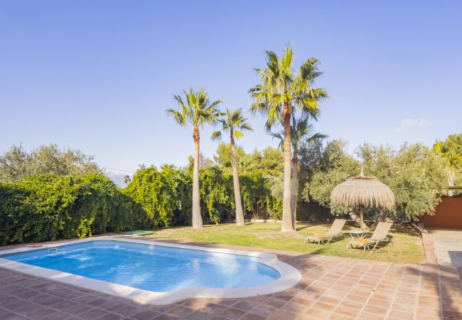 Cottage in Alhaurin de la Torre - Cubo's Finca el Nogal