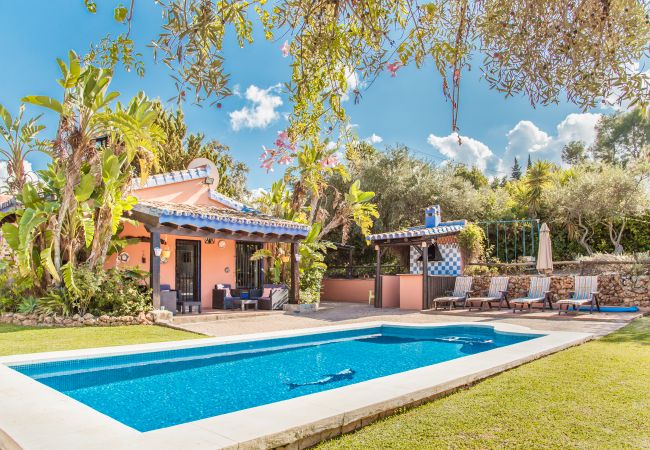 Private pool of this estate in Alhaurín de la Torre