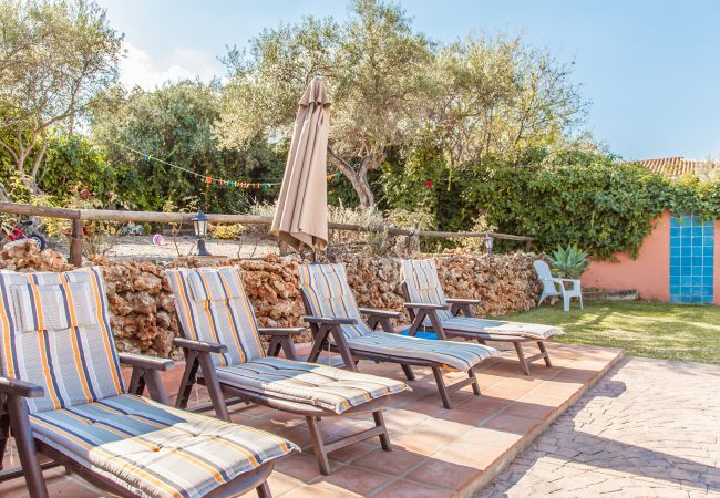 Terrace of this farm in Alhaurín de la Torre