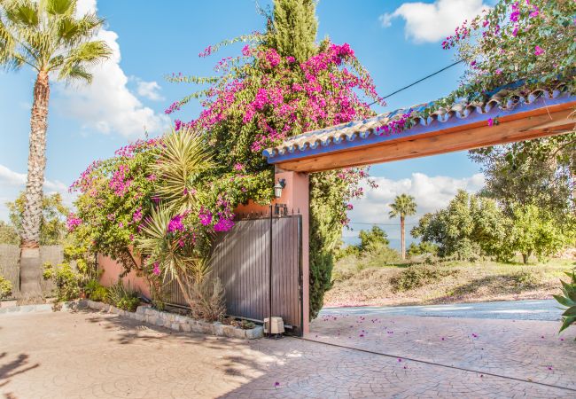 Garden of this farm in Alhaurín de la Torre