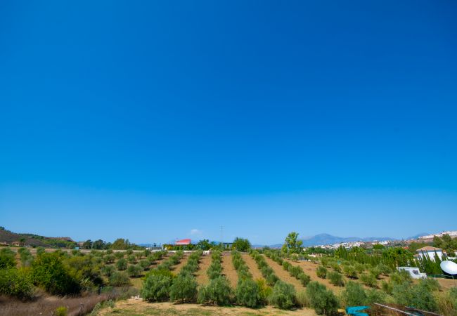 Views of this Finca in Alhaurín el Grande