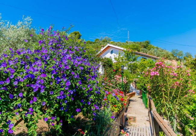 Garden of this house near El Caminito del Rey