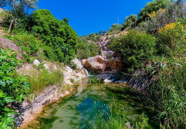 Surroundings of this house near El Caminito del Rey