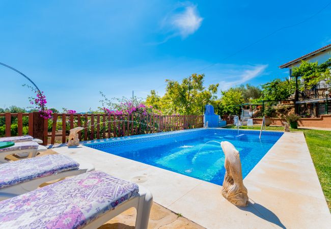 Pool of this house near El Caminito del Rey