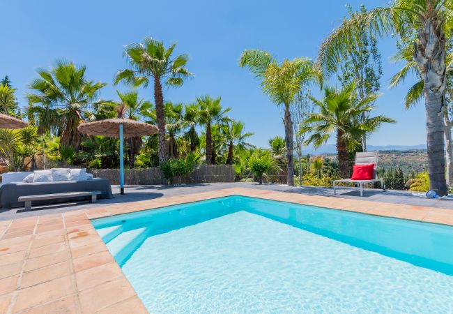 Private pool of this Finca in Alhaurín el Grande