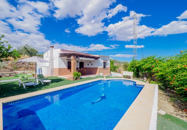 Pool and exterior of the house