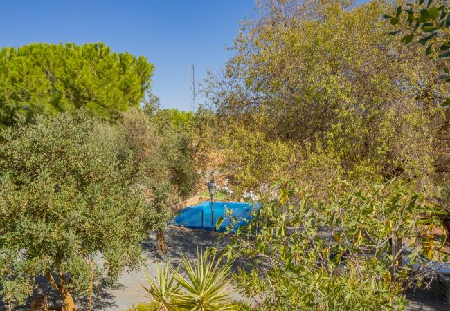 Cottage in Archidona  - Cubo's Cortijo El Perezon