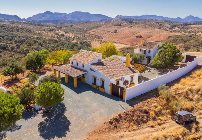 Foto de la extensión del cortijo familiar cerca de Antequera, Málaga y Granada.