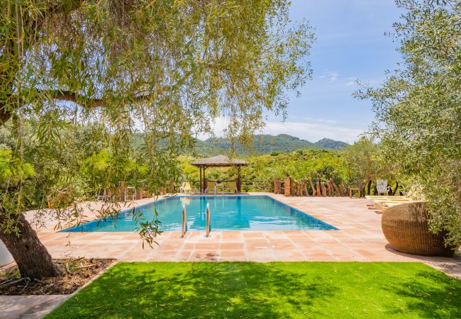 Swimming pool of the rural house with two cabins and its natural surroundings. 