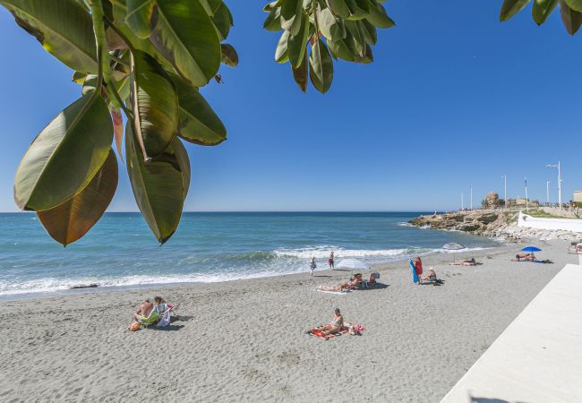 Apartment in Nerja - Toboso Torrecilla Beach